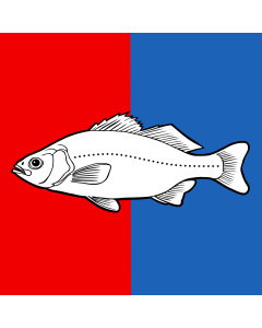 Fahne: Flagge: CHE Nyon | Swiss city Nyon | Miasta Nyon w Szwajcarii