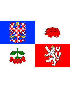 Fahne: Flagge: Region Vysočina