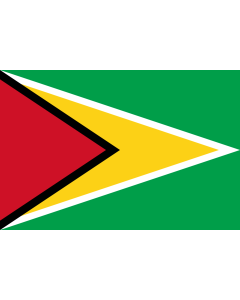 Fahne: Flagge: Guyana