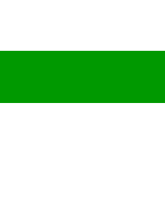 Fahne: Flagge: Tonk