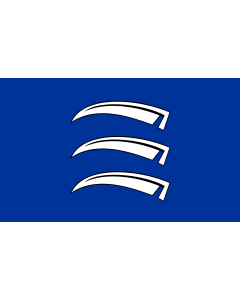 Fahne: Flagge: Triesen