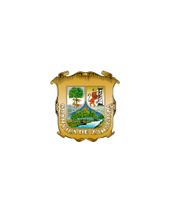 Fahne: Flagge: Coahuila