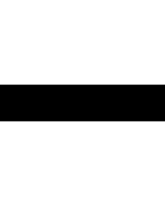 Fahne: Flagge: Niederländischen Stadt Delft