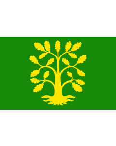 Fahne: Flagge: Vest-Agder Fylke