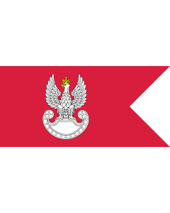Fahne: Flagge: Polish Land Forces | Polish Ground Forces flag. Adopted in 1993 | Wojsk Lądowych. Wprowadzona w 1993