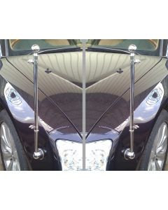 Paar Original Audi Standartenhalter
