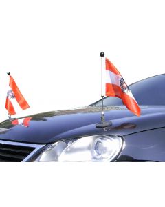  Paar  Magnetische Auto-Fahne Diplomat-1 Österreich mit Dienst-Wappen 